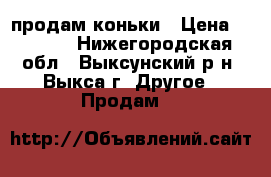 продам коньки › Цена ­ 1 000 - Нижегородская обл., Выксунский р-н, Выкса г. Другое » Продам   